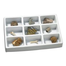 Kit paleontologie - Fosile MART-EDC-138353
